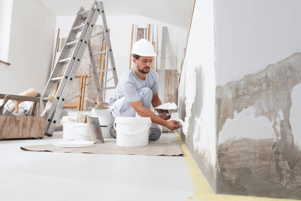 Trusted Pomeroy, OH Mold Removal Experts