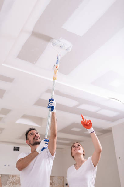 Best Black Mold Removal  in Pomeroy, OH