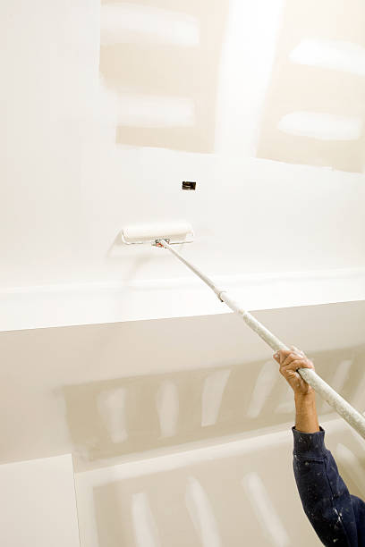 Best Environmental Consulting for Mold Prevention  in Pomeroy, OH