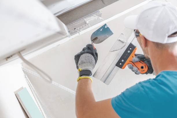 Best Water Damage & Mold Remediation  in Pomeroy, OH